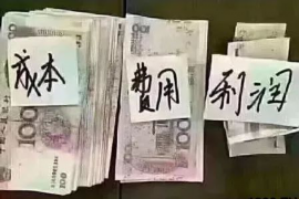 驻马店融资清欠服务